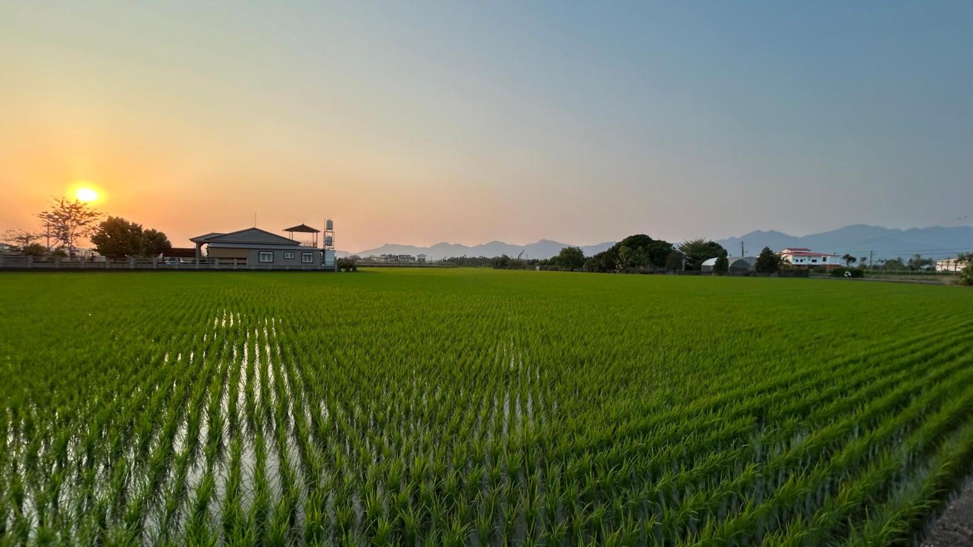Mei Nong Villa Mei-nung Esterno foto