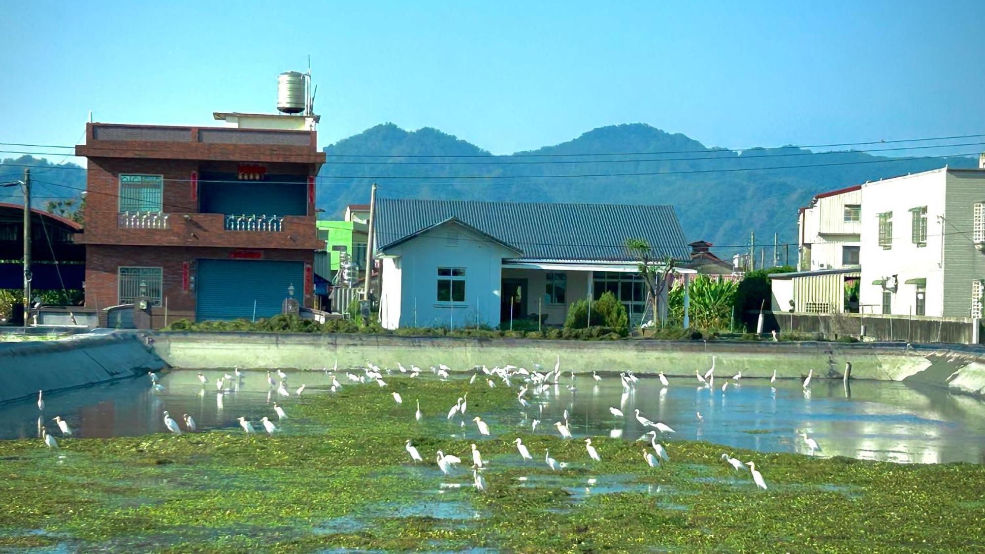 Mei Nong Villa Mei-nung Esterno foto